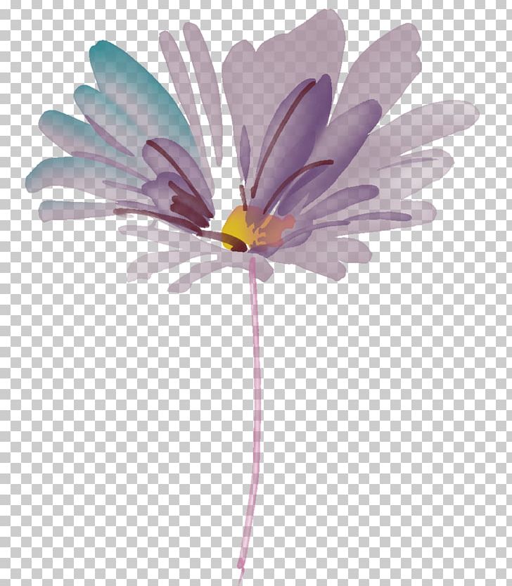 Purple Flower PNG, Clipart, Color, Daisy, Daisy Family, Flora, Flower Free PNG Download
