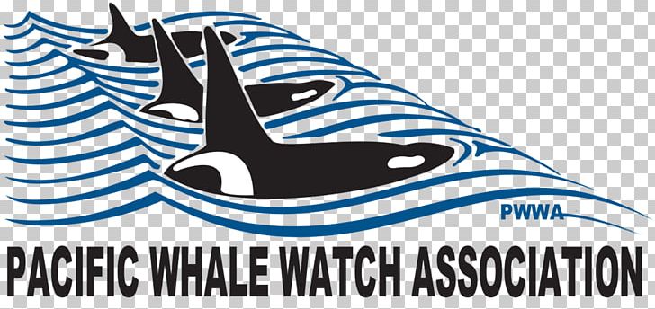 Whale Watching Killer Whale Puget Sound PNG, Clipart, Animals, Area, Artwork, Black And White, Blue Free PNG Download