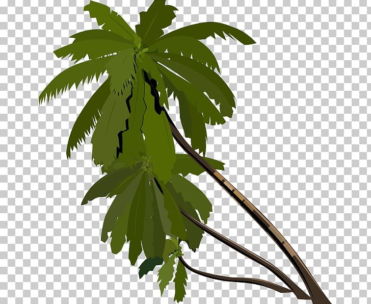 Arecaceae PNG, Clipart, Arecaceae, Blog, Branch, Coconut, Computer Icons Free PNG Download