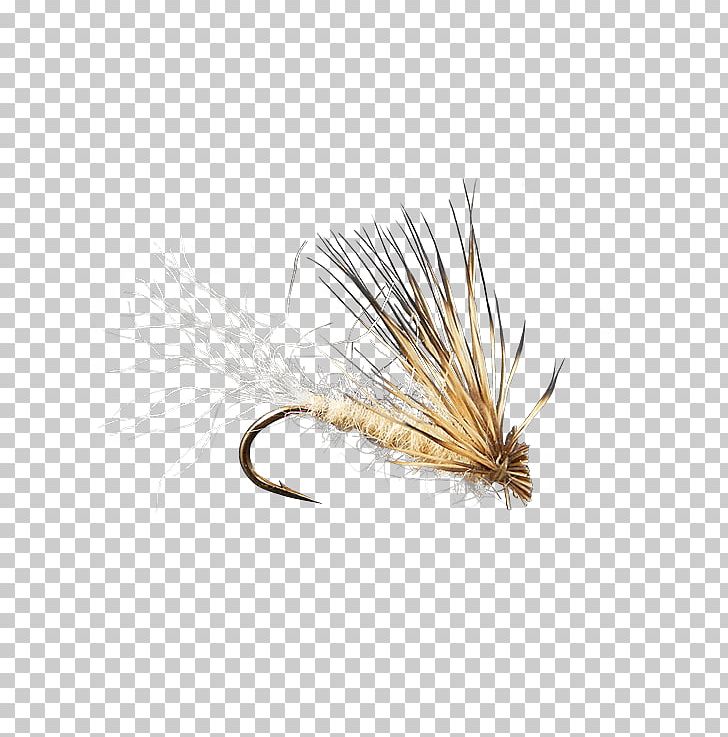 Insect Fly Caddisflies Holly Flies Product PNG, Clipart, Artificial Fly, Fishing Bait, Fly, Holly Flies, Ifwe Free PNG Download