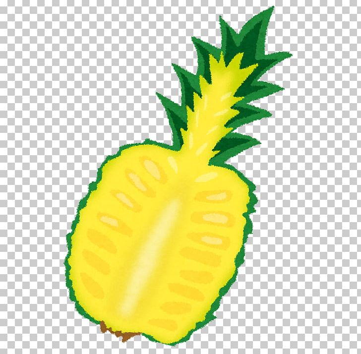 Pineapple Fruit Food Juice Zuur PNG, Clipart, Ananas, Berry, Bromeliaceae, Climacteric, Commodity Free PNG Download