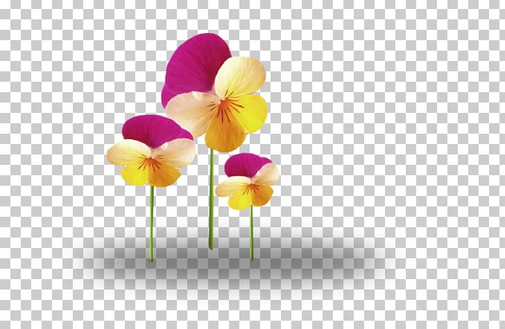 Cut Flowers Tulip Plant Desktop PNG, Clipart, Bloom, Colorful, Computer Wallpaper, Coreldraw, Cut Flowers Free PNG Download
