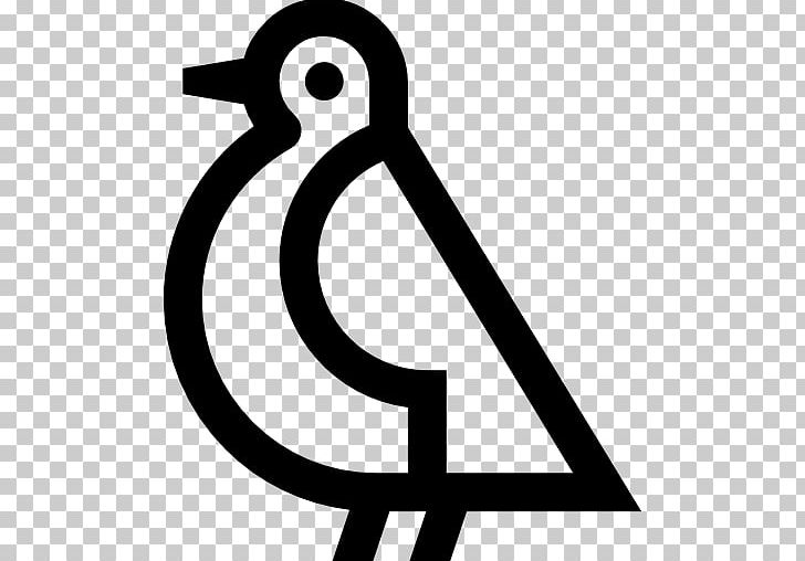 Gulls Bird Goose Duck Beak PNG, Clipart, Animals, Area, Artwork, Beak, Bird Free PNG Download