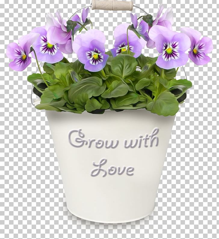 Pansy Flowerpot PNG, Clipart, African Violets, Bellflower Family, Cut Flowers, Drawing, Flower Free PNG Download