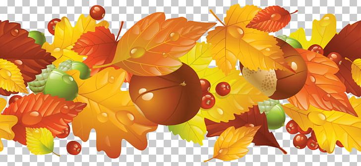 Thanksgiving Autumn Harvest Festival PNG, Clipart, Autumn, Autumn Leaf Color, Borders, Clip Art, Computer Wallpaper Free PNG Download