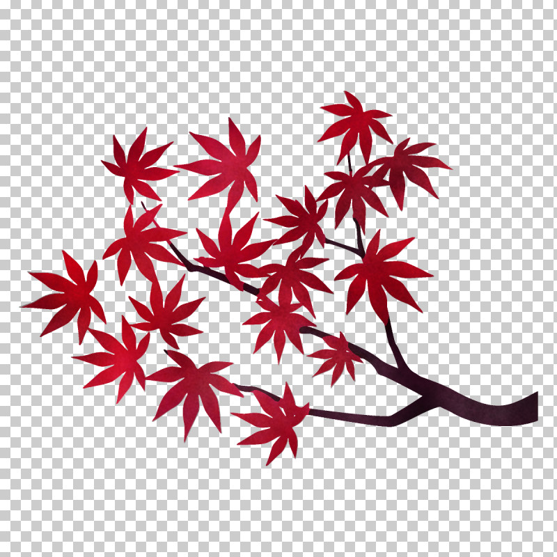Maple Branch Maple Leaves Autumn Tree PNG, Clipart, Autumn, Autumn Tree, Fall, Flower, Leaf Free PNG Download