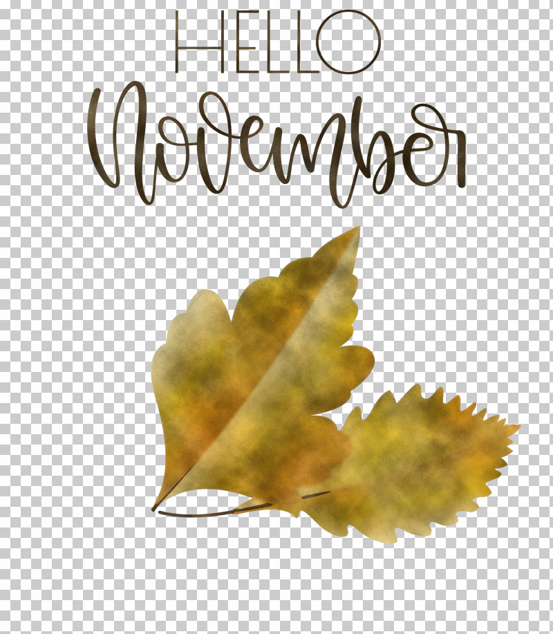 Hello November November PNG, Clipart, Biology, Hello November, Leaf, Meter, November Free PNG Download