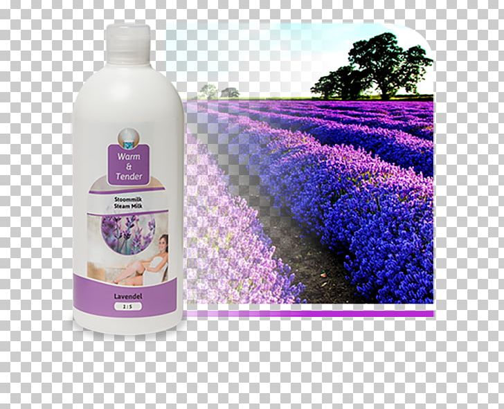English Lavender Odor Lavera Calming Body Lotion Flower Liquid PNG, Clipart, Aloe Vera, Blossom, English Lavender, Flower, Flower Garden Free PNG Download