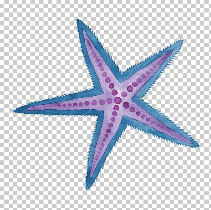 Starfish Illustration Watercolor Painting Birthday Sea PNG, Clipart, Art, Birthday, Decal, Echinoderm, Holidays Card Free PNG Download