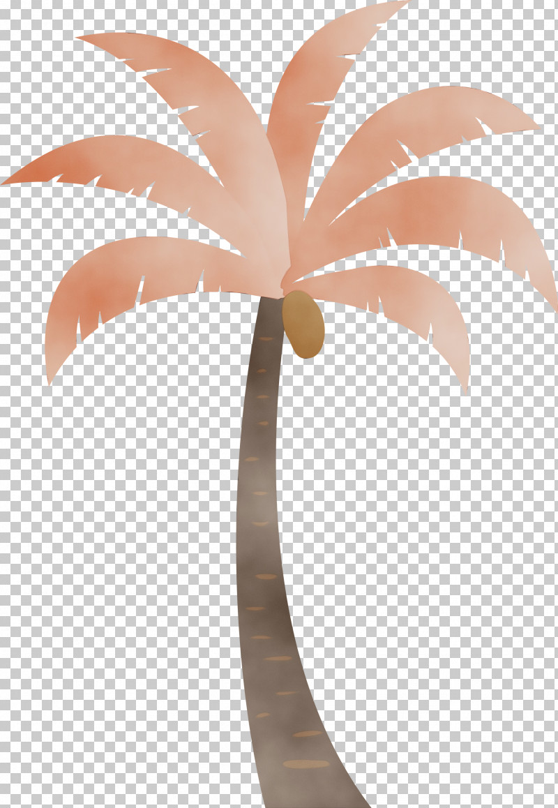 Palm Trees PNG, Clipart, Beach, Biology, Cartoon Tree, Flowerpot, Leaf Free PNG Download