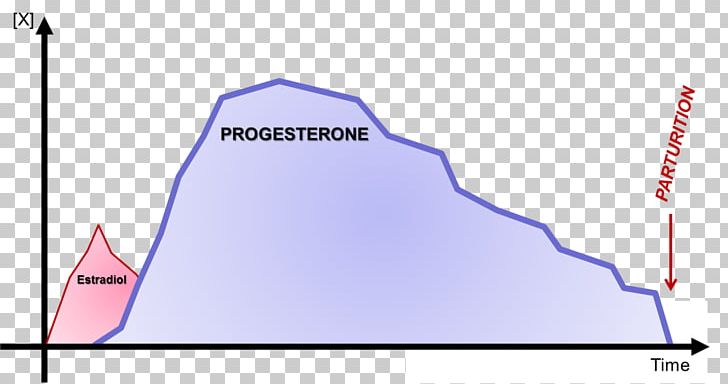 Estradiol Progesterone Fertility Estrogen Ovulation PNG, Clipart, Angle, Area, Bitch, Brand, Diagram Free PNG Download