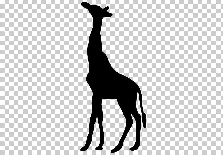 Giraffe Computer Icons PNG, Clipart, Animal Figure, Animals, Black, Computer, Contour Free PNG Download