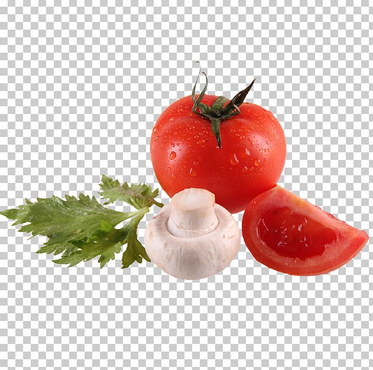 Plastic U70dfu53f0u7ad9 Municipal Solid Waste Waste Container Tomato PNG, Clipart, Apple Fruit, Box, Canon, Celery, Color Free PNG Download