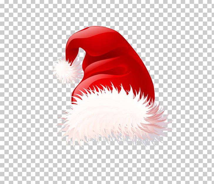 Santa Claus Santa Suit Christmas PNG, Clipart, Christmas, Christmas Stocking, Closeup, Clothing, Computer Wallpaper Free PNG Download