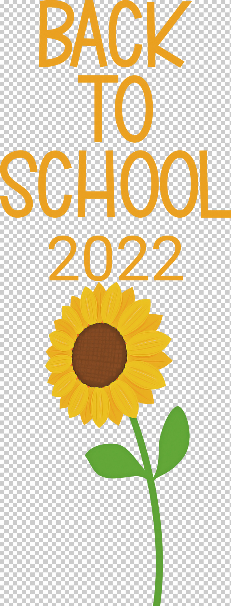 Back To School 2022 PNG, Clipart, Cut Flowers, Daisy Family, Floral Design, Flower, Happiness Free PNG Download