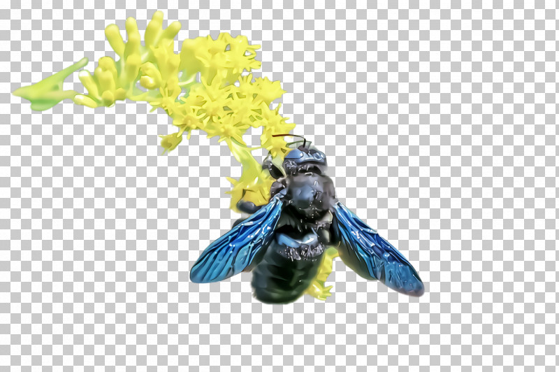 Bumblebee PNG, Clipart, Bee, Bumblebee, Carpenter Bee, Honeybee, Insect Free PNG Download