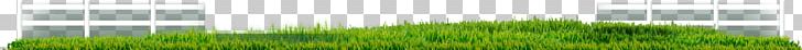 Desktop Grasses Sunlight Line Leaf PNG, Clipart, Agricultural Land, Computer, Computer Wallpaper, Desktop Wallpaper, Family Free PNG Download