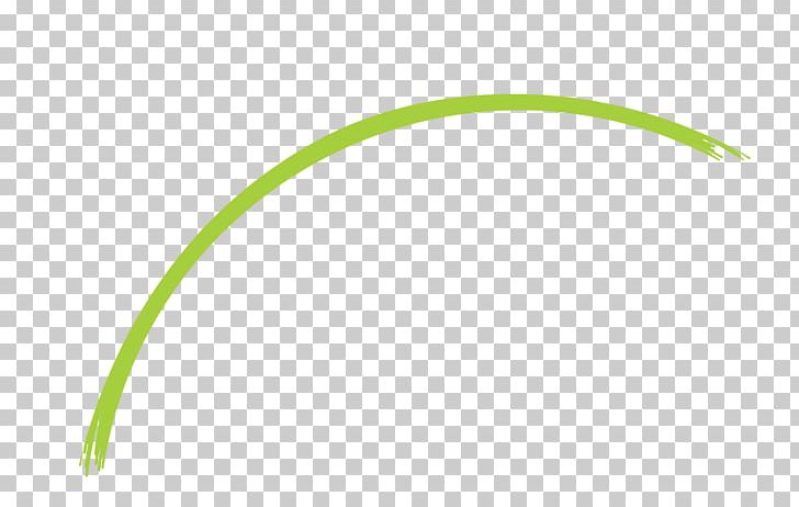 Green Line PNG, Clipart, Angle, Art, Grass, Green, Leaf Free PNG Download