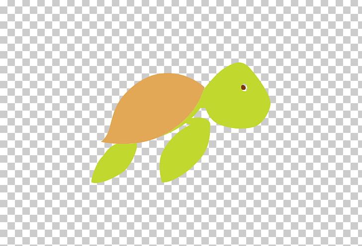 Sea Turtle Green PNG, Clipart, Animals, Butzchoquin, Green, Leaf, Organism Free PNG Download