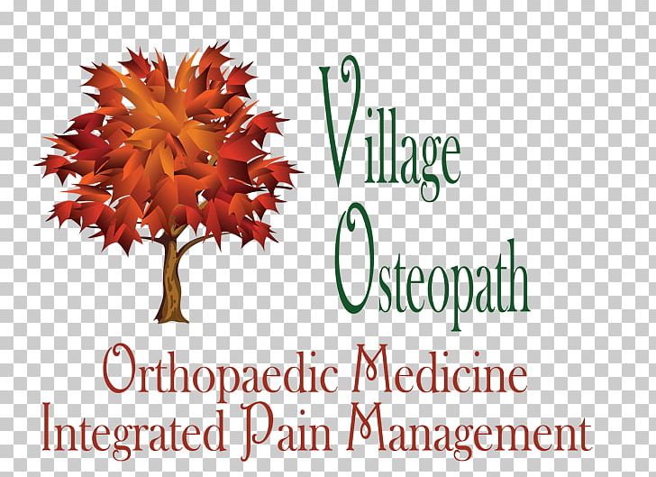 Village Osteopath Doctor Of Osteopathic Medicine Health Physician PNG, Clipart, Board Certification, Brand, Doctor Of Osteopathic Medicine, Health, Medicine Free PNG Download