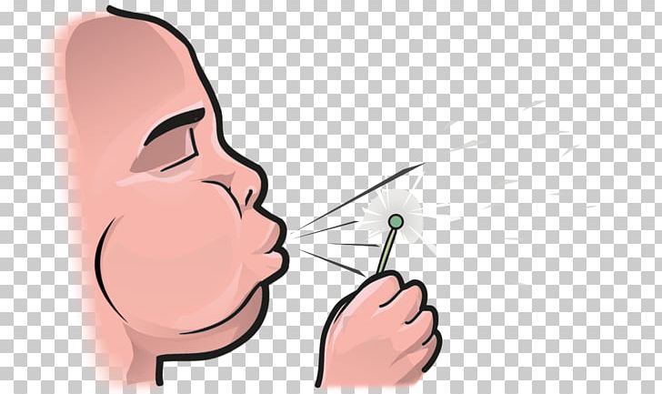 Cheek Face Chin Arm Jaw PNG, Clipart, Arm, Cheek, Chin, Ear, Eye Free PNG Download