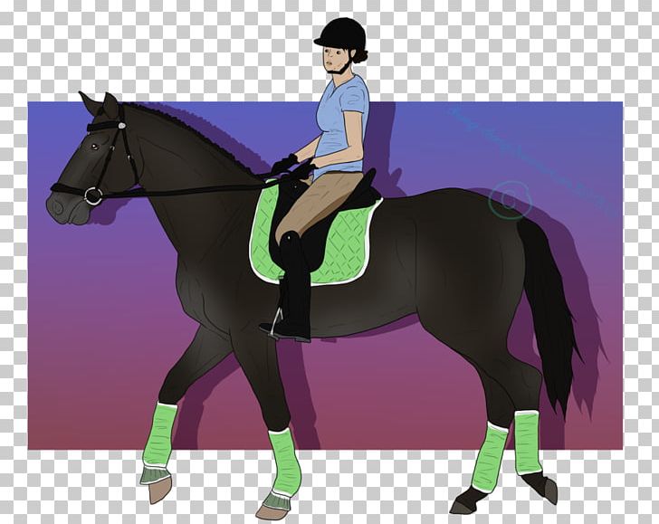 Stallion Mustang Hunt Seat Mare Pony PNG, Clipart, Bit, Bridle, Equestrian, Equestrianism, Equestrian Sport Free PNG Download