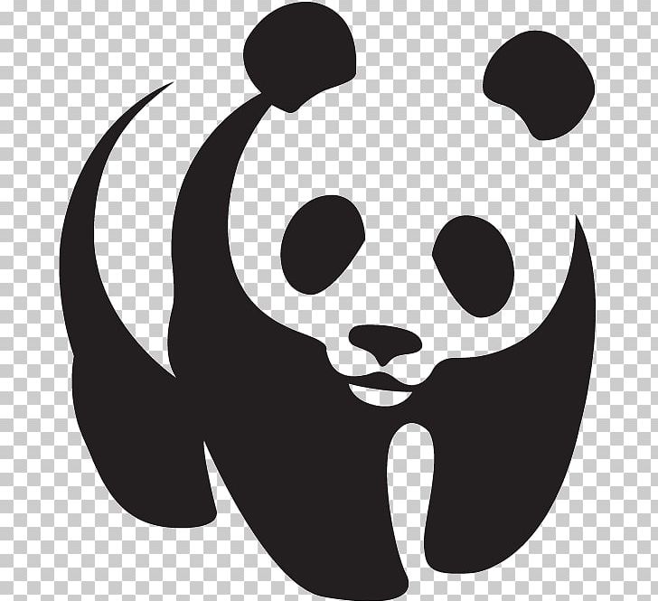 Logo World Wide Fund For Nature Giant Panda Decal Symbol PNG, Clipart, Black, Black And White, Bra, Carnivoran, Cat Like Mammal Free PNG Download