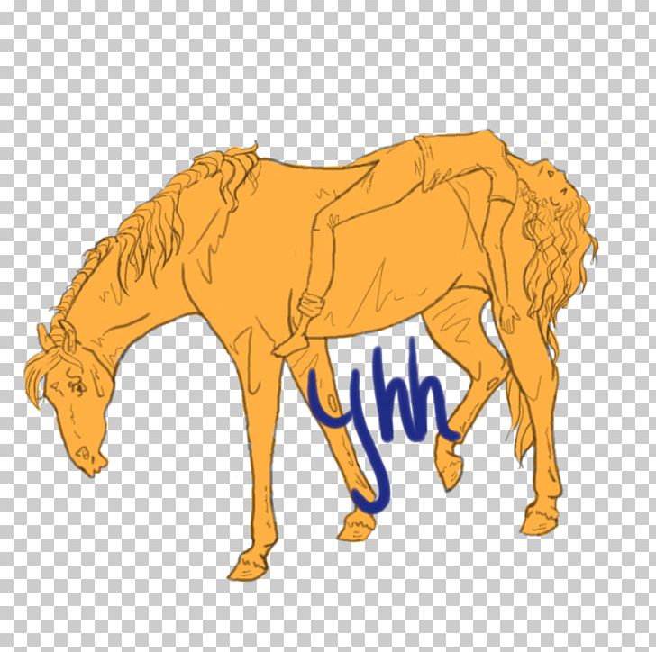 Mustang Foal Stallion Colt Donkey PNG, Clipart,  Free PNG Download