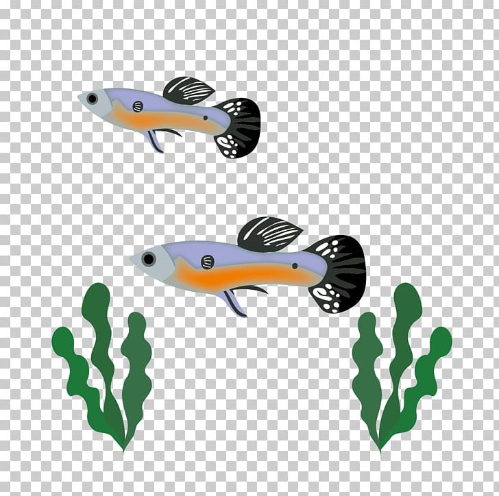Fish PNG, Clipart, Art, Fish, Guppy, Organism, Vehicle Free PNG Download