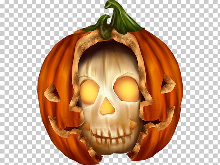 Jack-o'-lantern Winter Squash Gourd Pumpkin Cucurbita Maxima PNG, Clipart,  Free PNG Download