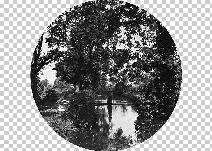 river bank clipart black and white