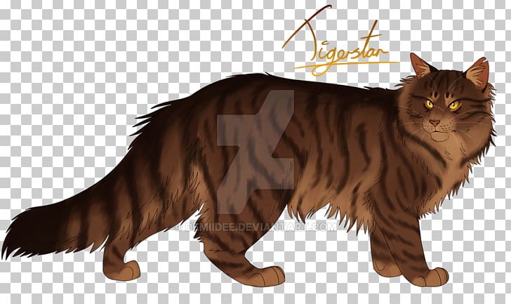 Warriors Cat Tigerstar The Rise Of Scourge PNG, Clipart, Animals, Asian, Asian, Carnivoran, Cat Like Mammal Free PNG Download
