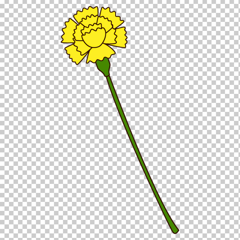 Carnation Flower PNG, Clipart, Carnation, Dandelion, Flower, Plant, Plant Stem Free PNG Download