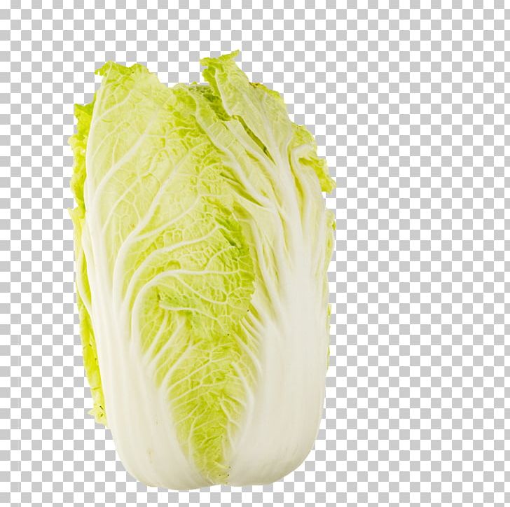 Chinese Cabbage Romaine Lettuce Napa Cabbage Chinese Cuisine PNG, Clipart, Cabbage, Cabbage Leaves, Cabbage Roses, Cartoon Cabbage, Chinese Cabbage Free PNG Download