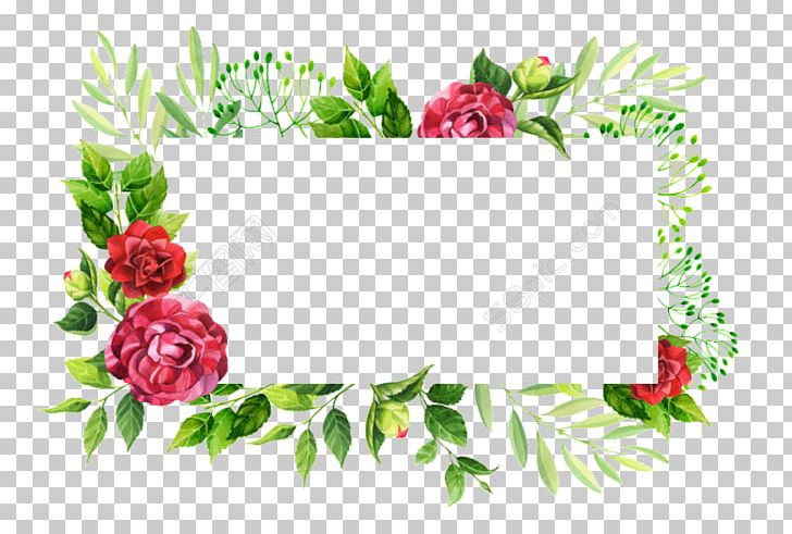 Garden Roses Frames PNG, Clipart, Art, Border, Branch, Computer Software, Cut Flowers Free PNG Download