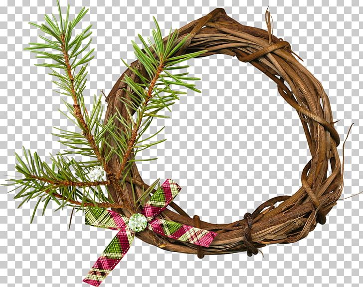 Photography Blog Graphics Software Editing PNG, Clipart, Animation, Blog, Branch, Christmas Decoration, Christmas Ornament Free PNG Download