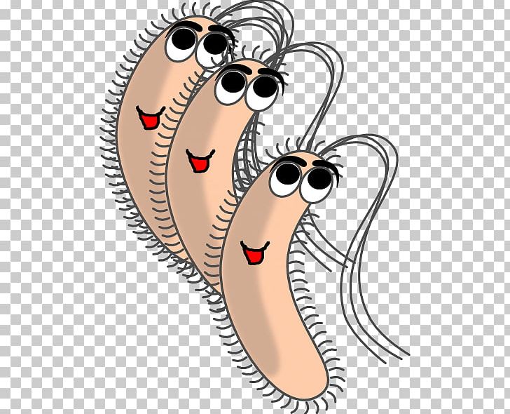 Bacteria Microorganism PNG, Clipart, Bacteria, Cartoon, Clip, Emotion, Eyewear Free PNG Download