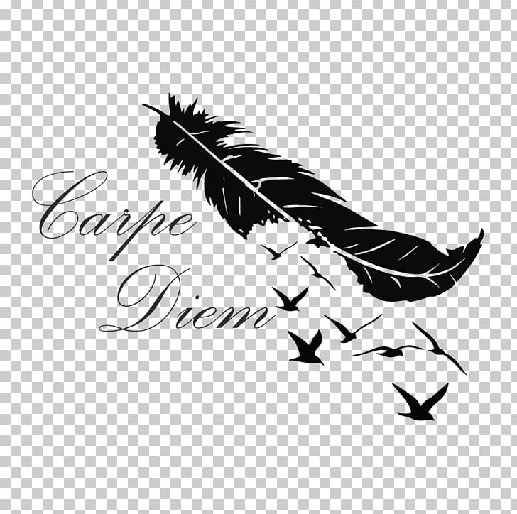 Feather Bird Abziehtattoo PNG, Clipart, Abziehtattoo, Animals, Bird, Black, Black And White Free PNG Download