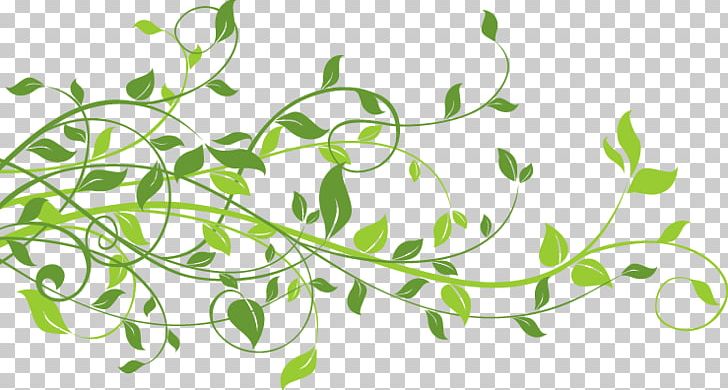 Leaf Branch Presentation PNG, Clipart, Branch, Document, Flora, Flower, Flowering Plant Free PNG Download