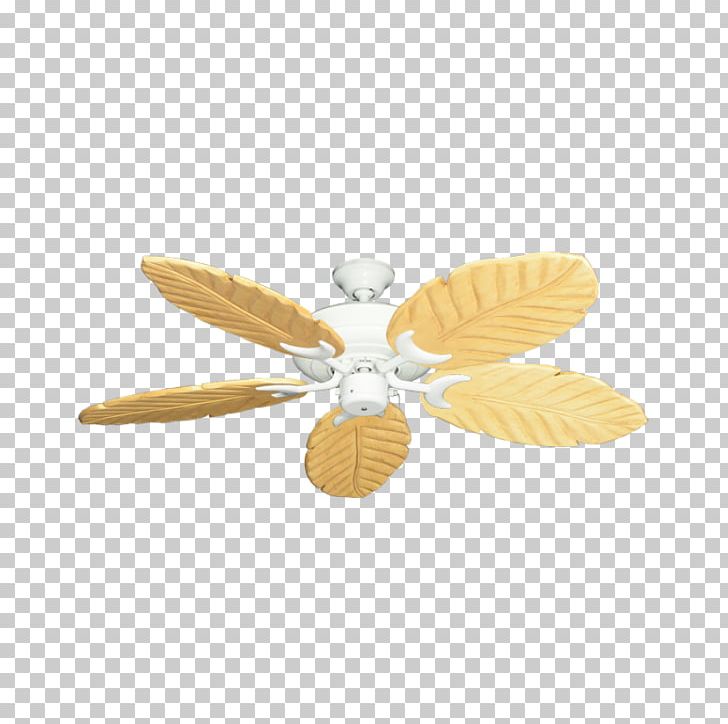 Insect Butterfly 2M Fan Wing PNG, Clipart, Butterflies And Moths, Butterfly, Fan, Insect, Invertebrate Free PNG Download