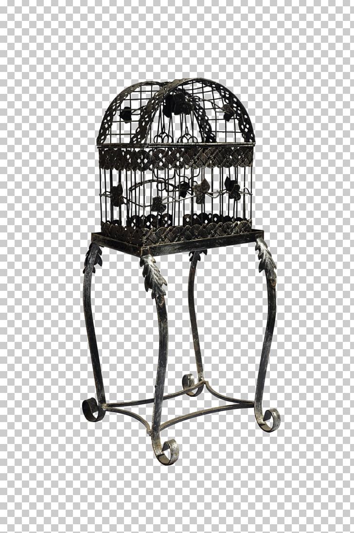 Birdcage Metal Furniture PNG, Clipart, Art, Bird, Birdcage, Cage, Deviantart Free PNG Download