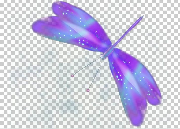 Butterfly Purple PNG, Clipart, Butterfly, Butterfly Vector, Color, Colorful Background, Colorful Butterfly Free PNG Download