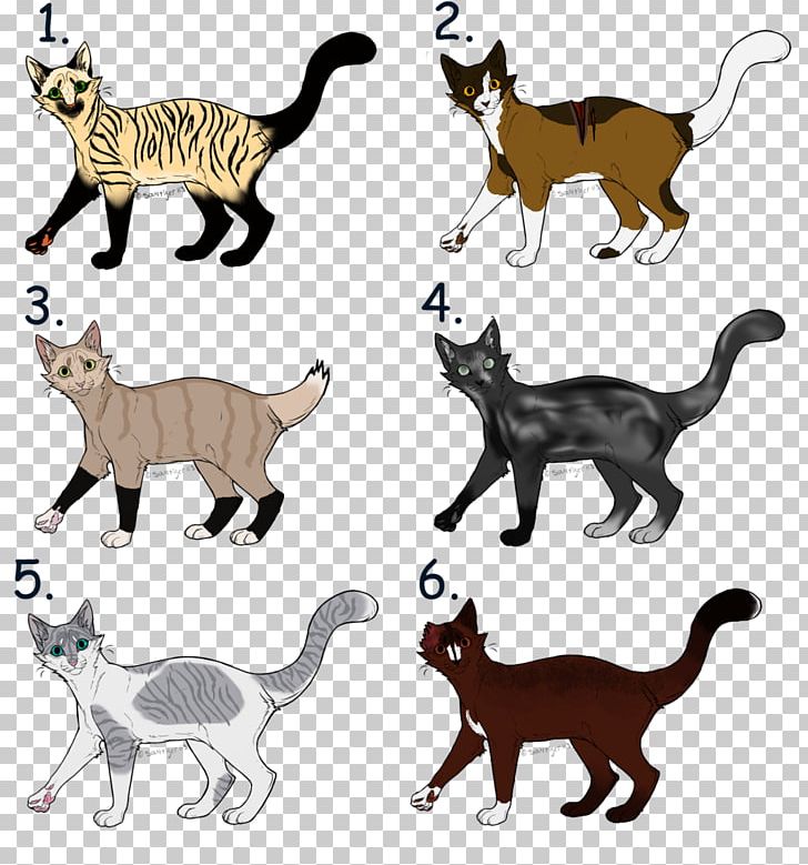Kitten Warriors Siamese Cat Adoption Coloring Book PNG, Clipart, Animal Figure, Animals, Carnivoran, Cat, Cat Like Mammal Free PNG Download