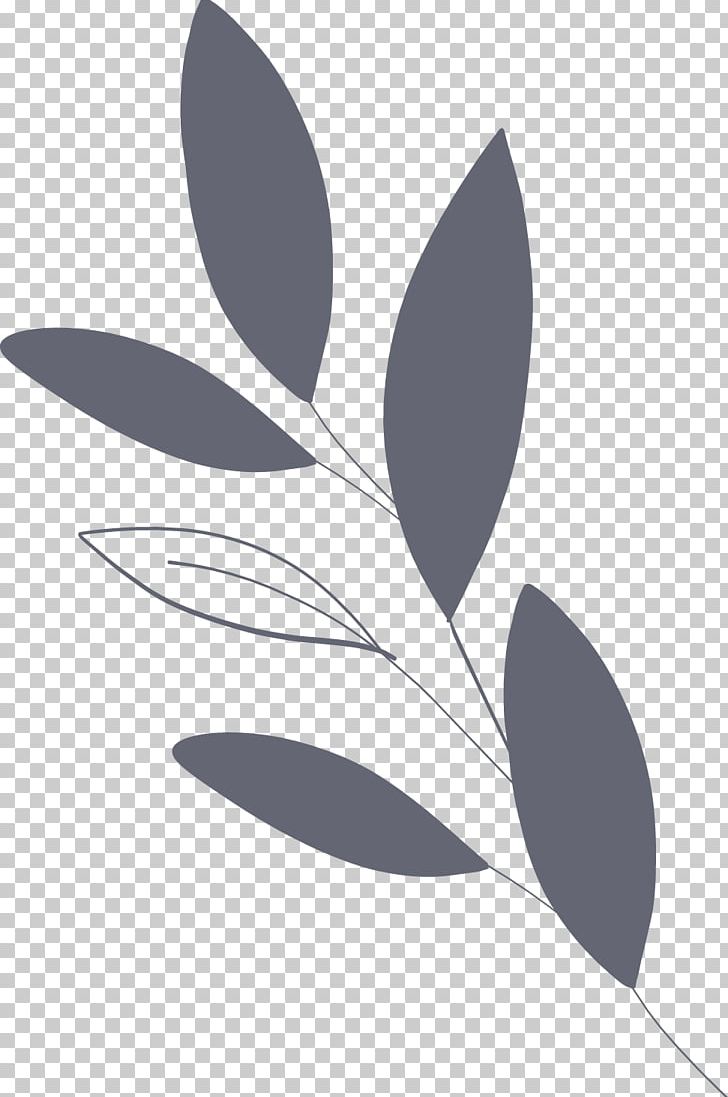 Petal Leaf Pattern PNG, Clipart, Black And White, Branch, Endless Love, Flora, Flower Free PNG Download