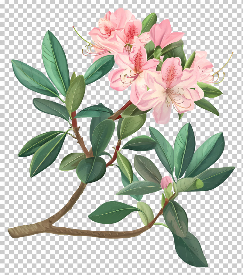 Vintage Flowers - Pink Flowers On A Tree Branch PNG