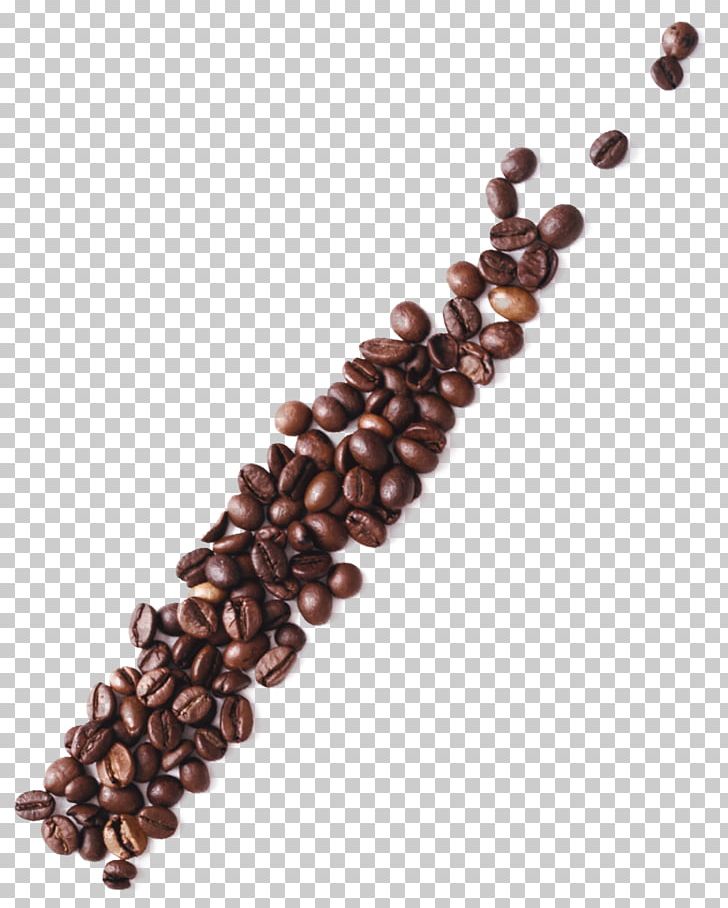 Coffee Bean Tea Cafe PNG, Clipart, Amp, Bean, Beans, Beverage, Cafe Free PNG Download