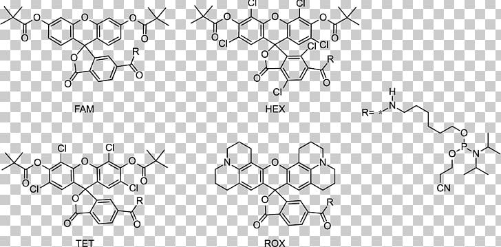 Fluorophore Fluorescein Amidite Fluorescence Förster Resonance Energy Transfer PNG, Clipart, Angle, Area, Auto Part, Black And White, Body Jewelry Free PNG Download