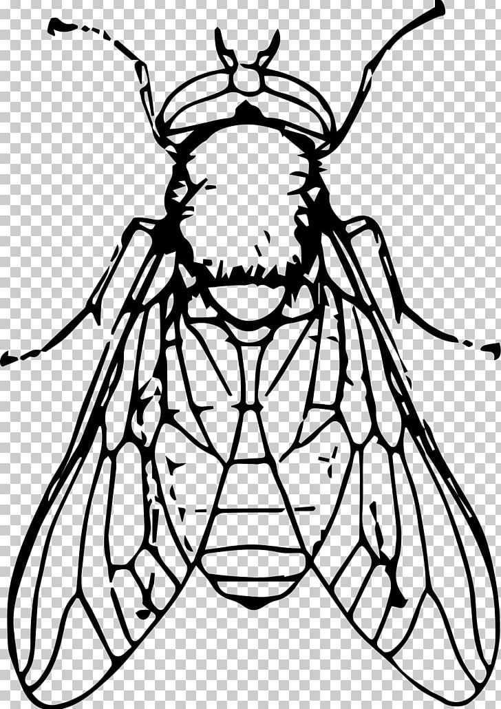 Insect Black And White Drawing PNG, Clipart, Animals, Art, Artwork, Color, Coloring Book Free PNG Download