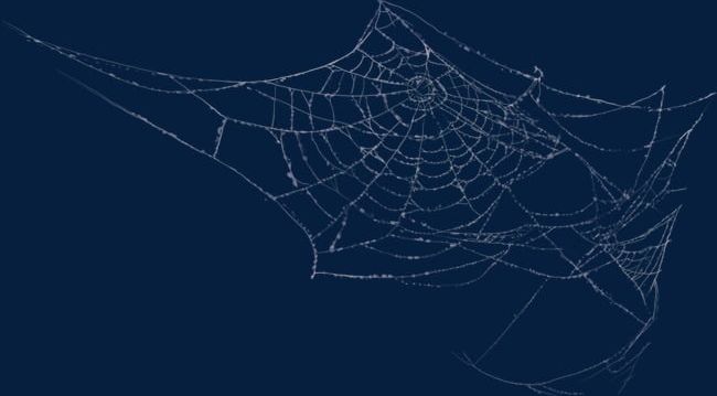 Spider Web Material PNG, Clipart, Cobweb, Material, Material Clipart, Network, Spider Free PNG Download