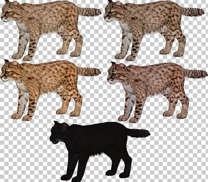 Cat Zoo Tycoon 2: Marine Mania Cheetah Ocelot Leopard PNG, Clipart, Age Of Empires, Animal Figure, Big Cats, Bobcat, Carnivoran Free PNG Download
